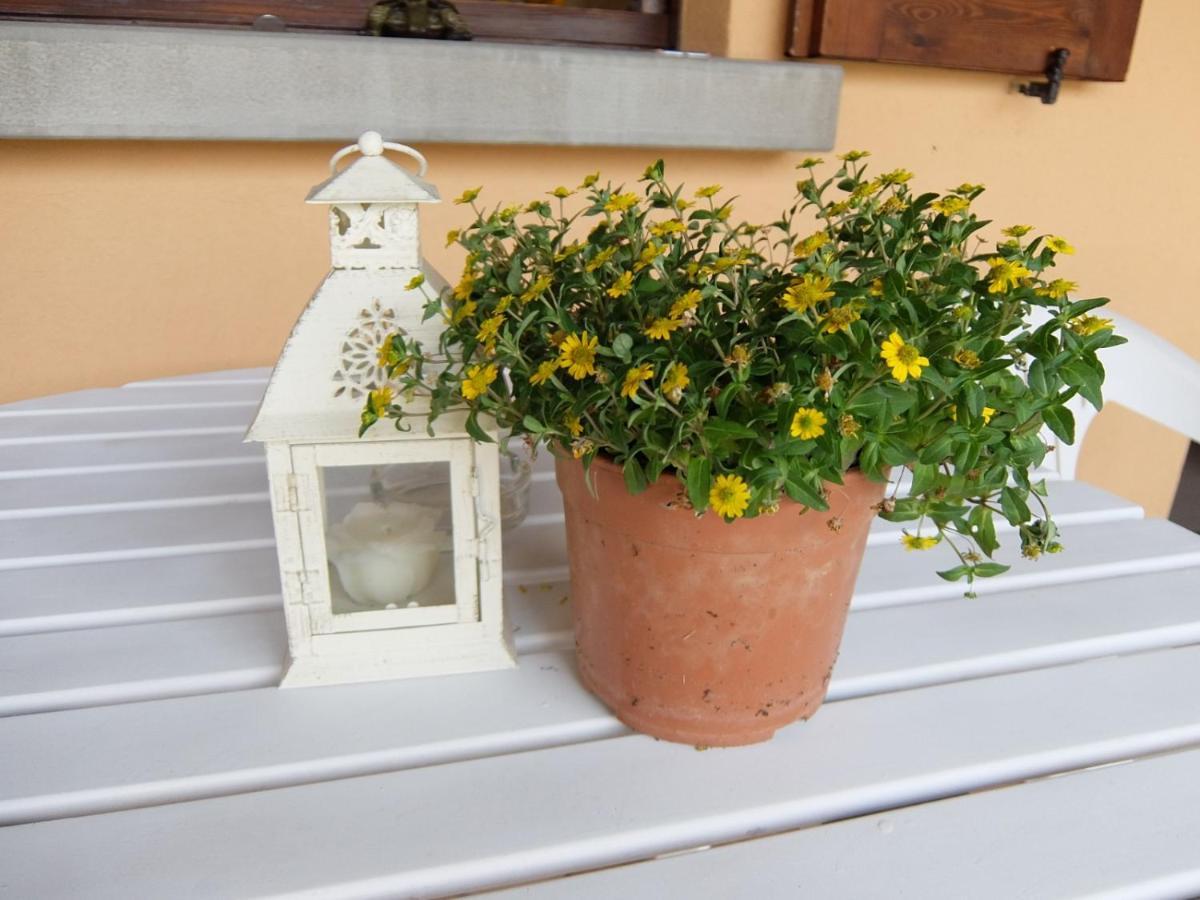 Oxy Holiday Home إيزِيو المظهر الخارجي الصورة
